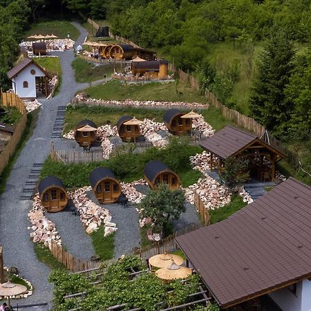 Complex Butoaiele Transilvaniei - Cazare & Spa - Natura - Relaxare Mediaş Eksteriør bilde