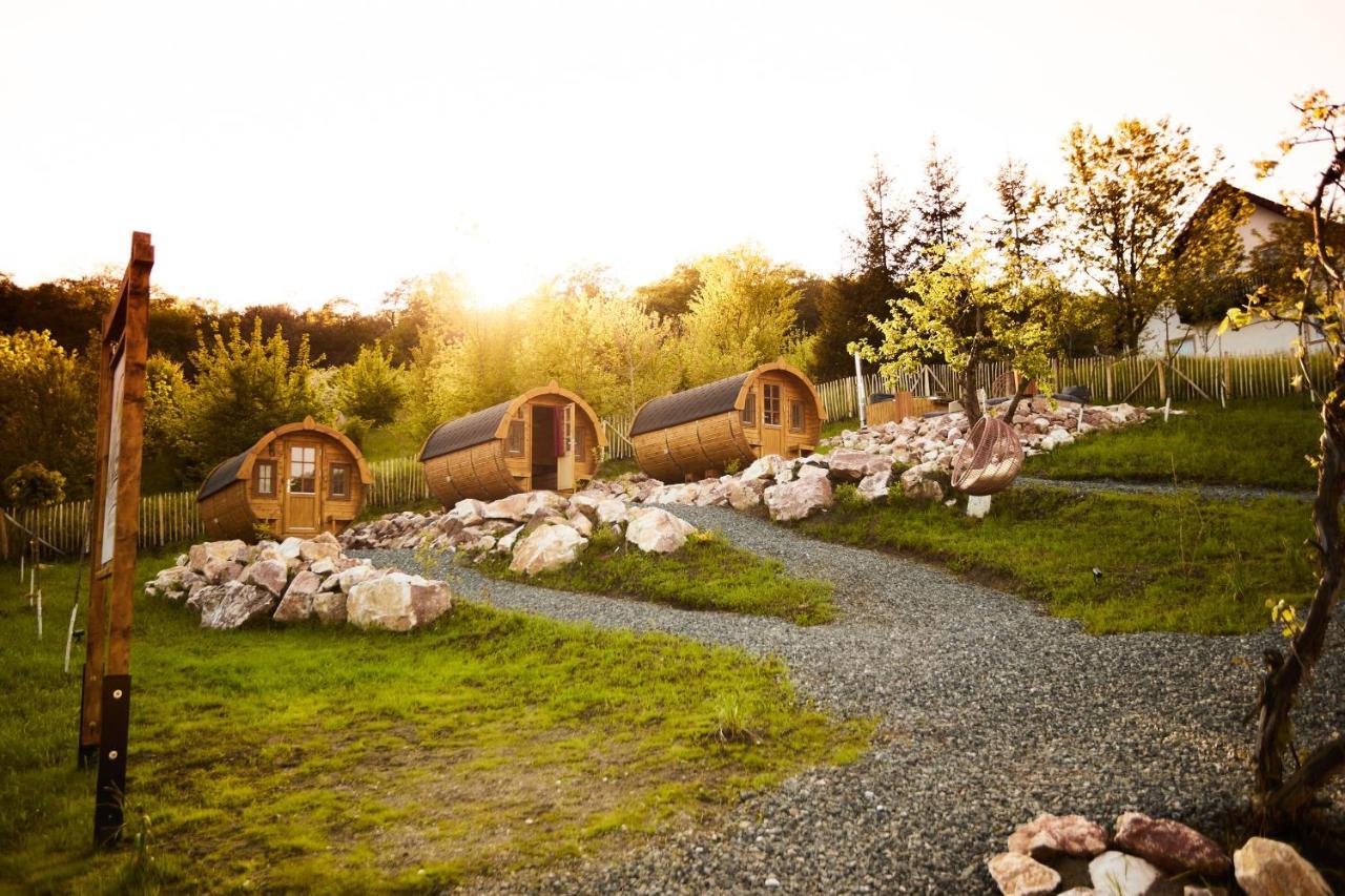 Complex Butoaiele Transilvaniei - Cazare & Spa - Natura - Relaxare Mediaş Eksteriør bilde