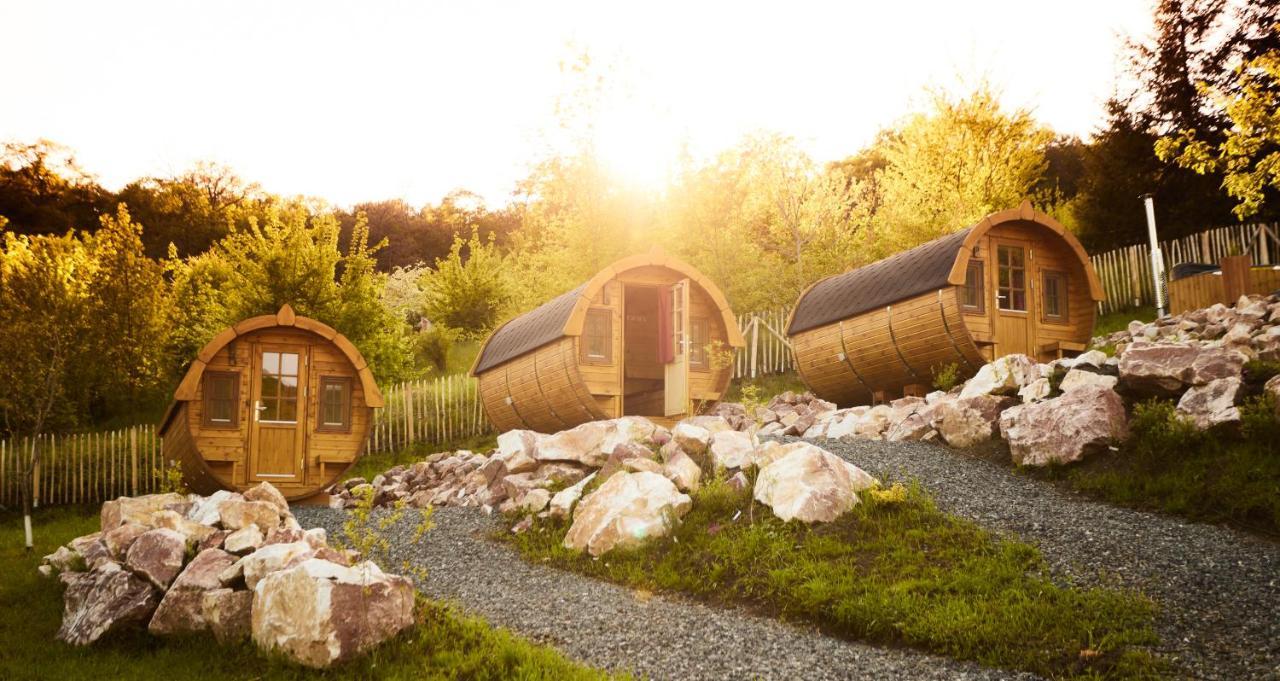 Complex Butoaiele Transilvaniei - Cazare & Spa - Natura - Relaxare Mediaş Eksteriør bilde