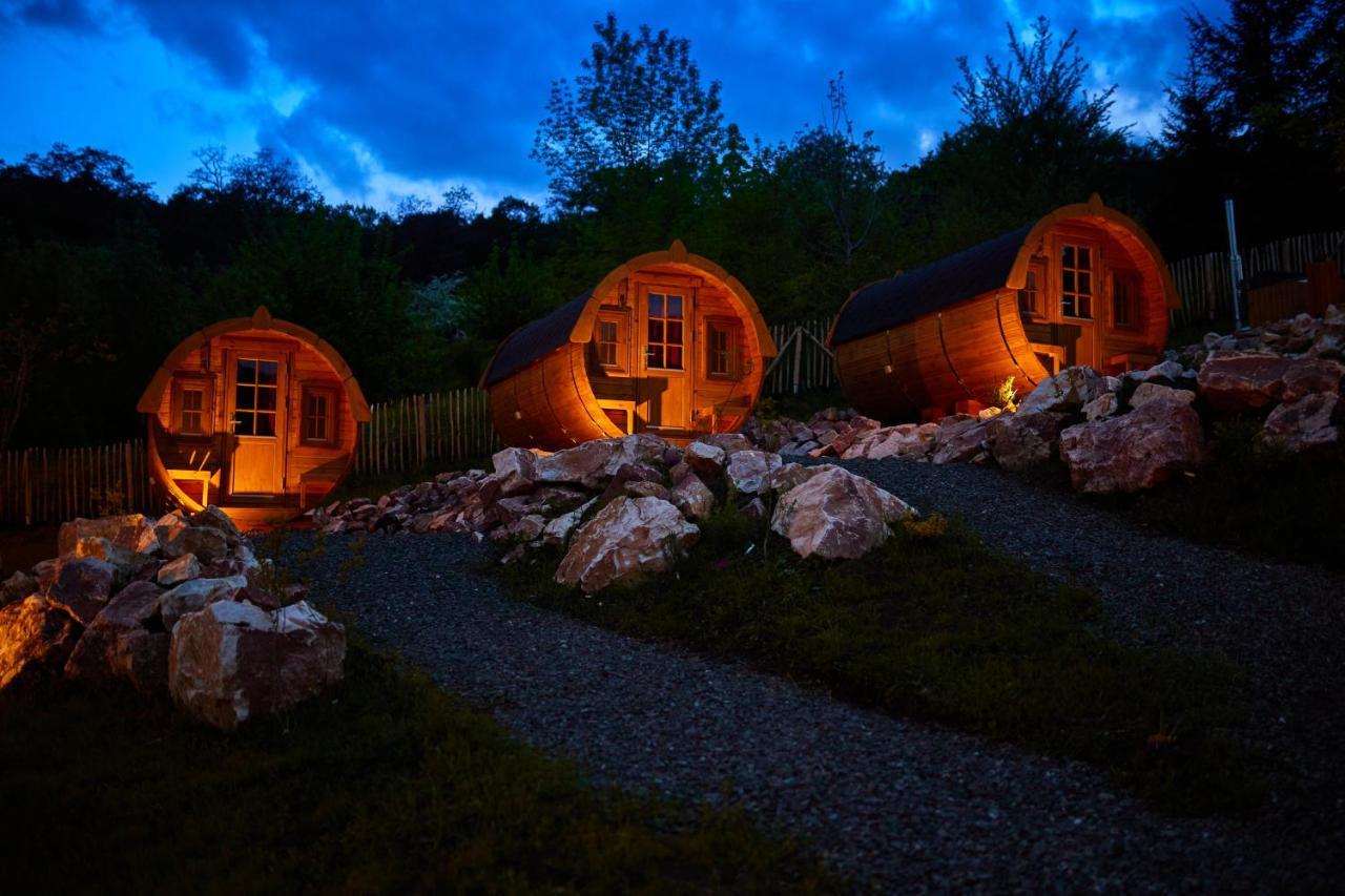 Complex Butoaiele Transilvaniei - Cazare & Spa - Natura - Relaxare Mediaş Eksteriør bilde