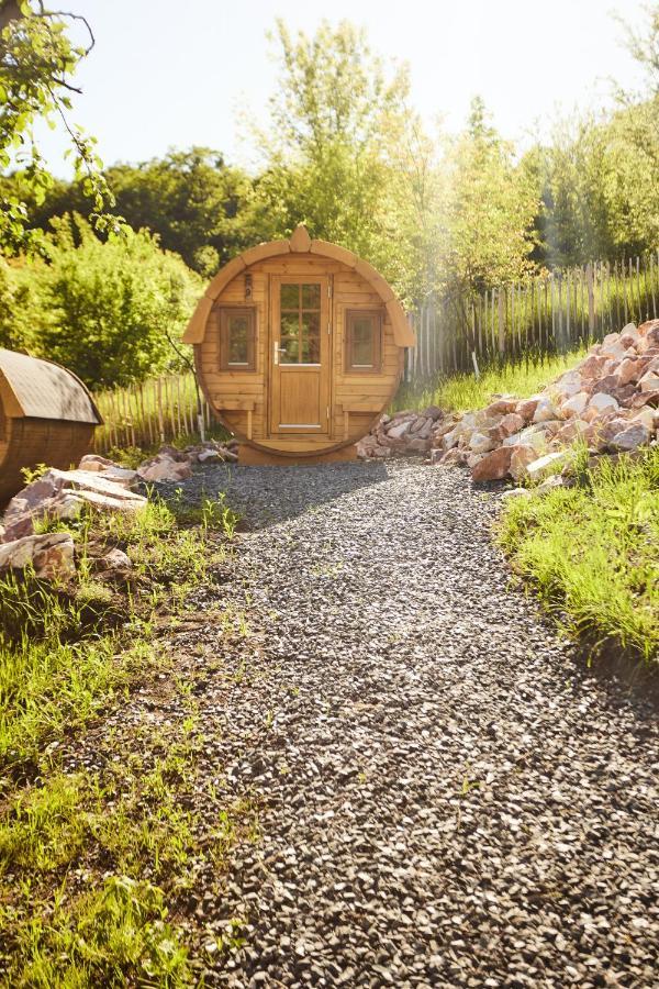 Complex Butoaiele Transilvaniei - Cazare & Spa - Natura - Relaxare Mediaş Eksteriør bilde