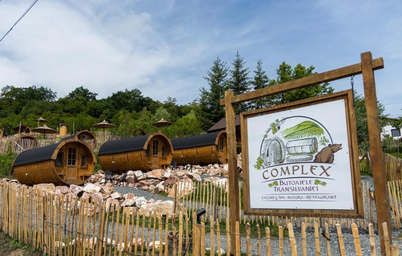 Complex Butoaiele Transilvaniei - Cazare & Spa - Natura - Relaxare Mediaş Eksteriør bilde